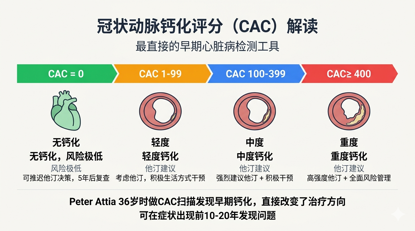 冠状动脉钙化评分（CAC）解读