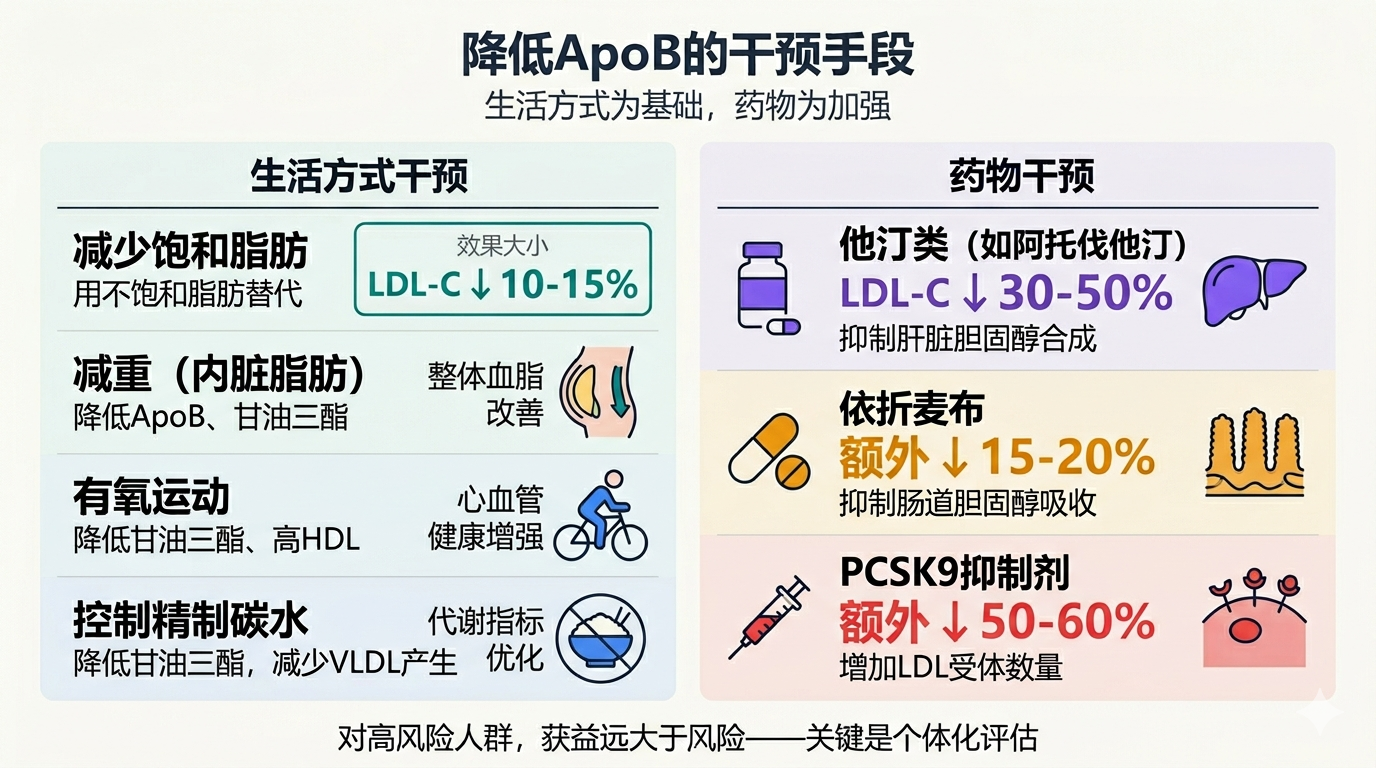 降低ApoB的干预手段