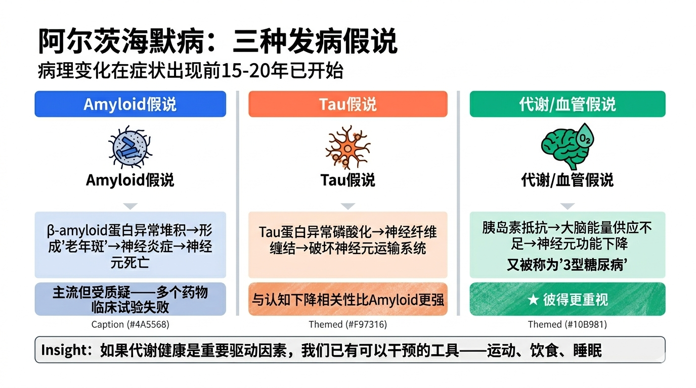 三种阿尔茨海默病发病假说对比