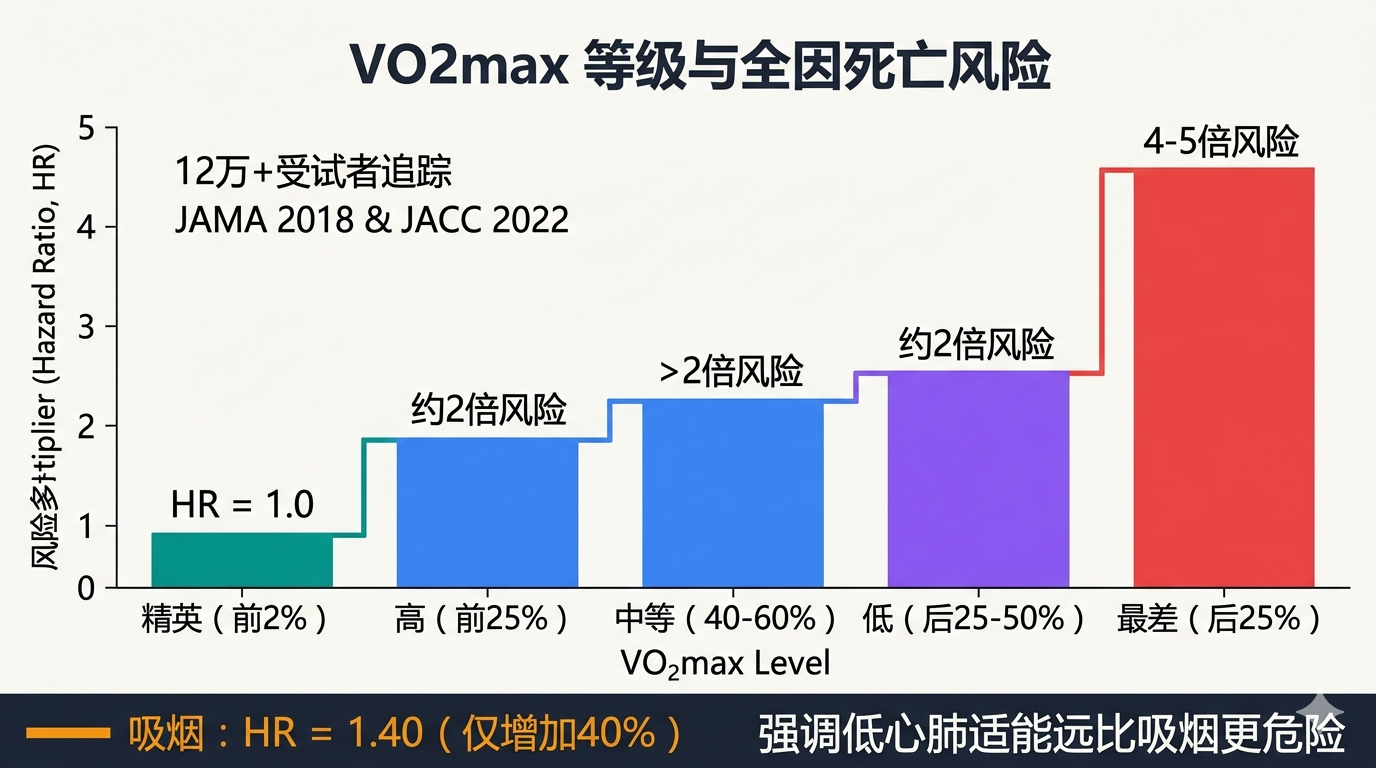 VO2max等级与全因死亡风险
