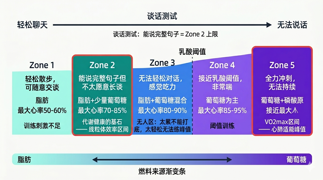 五大有氧训练区间强度光谱