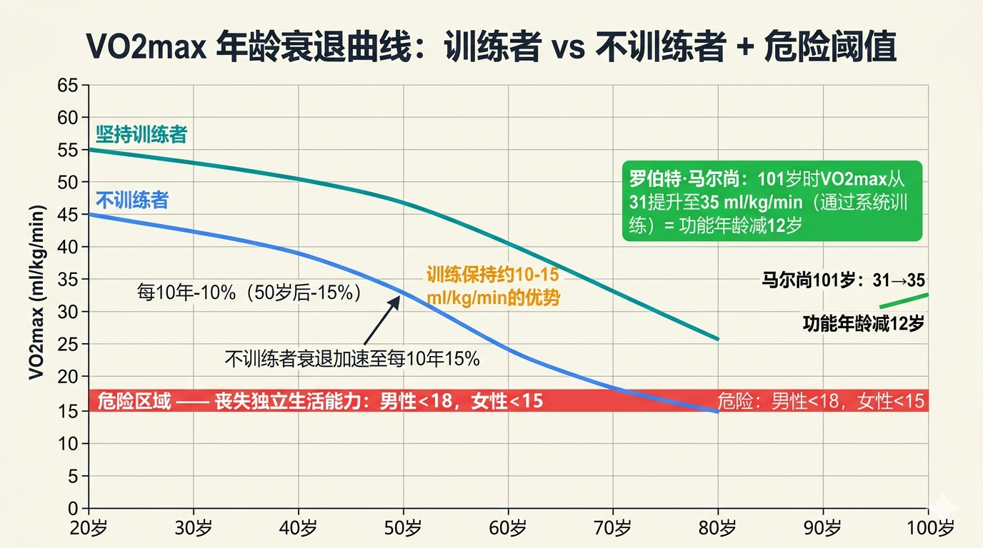 VO2max年龄衰退曲线：训练者vs不训练者