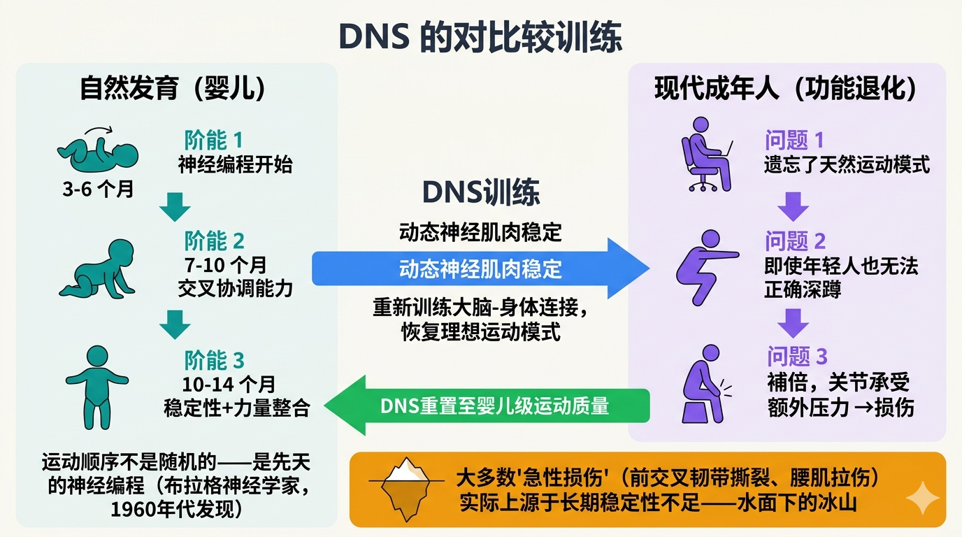 DNS：重新学习婴儿的运动模式