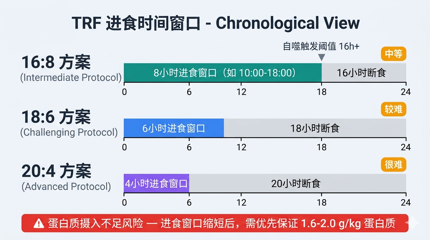 TRF 进食时间窗口对比
