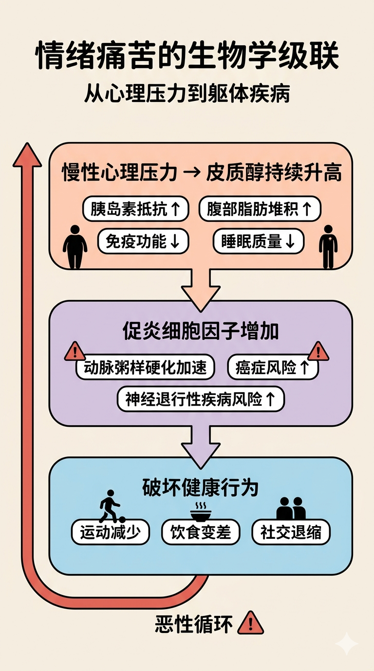 情绪痛苦的生物学级联：从心理压力到躯体疾病